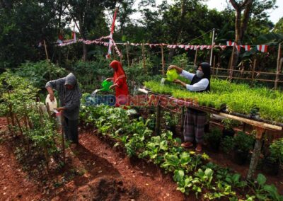 Manfaat Organisasi KWT (Kelompok Wanita Tani) di Masyarakat