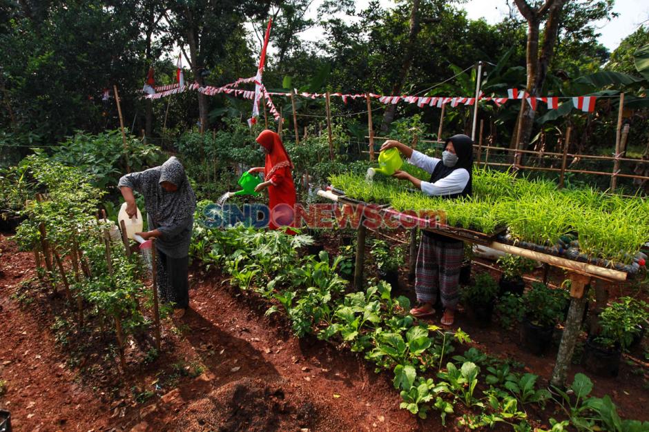 Manfaat Organisasi KWT (Kelompok Wanita Tani) di Masyarakat