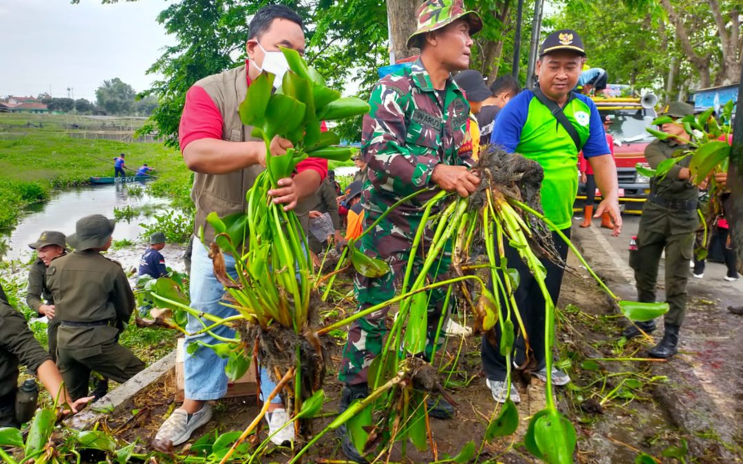 GIAT PEMBERSIHAN ENCENG GONDOK DI RAWA BENDUNGAN