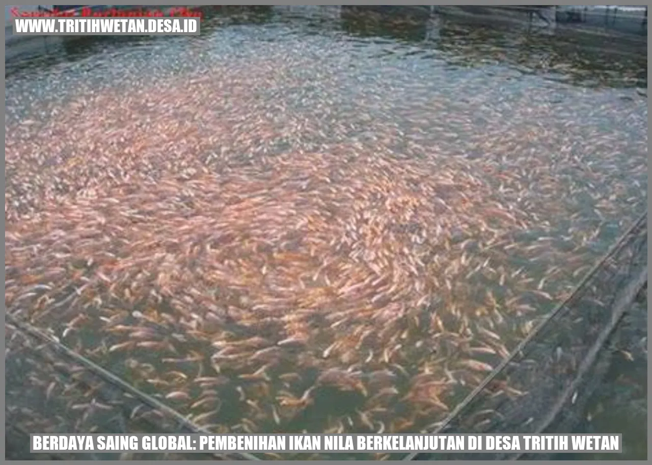 Gambar Pembenihan Ikan Nila