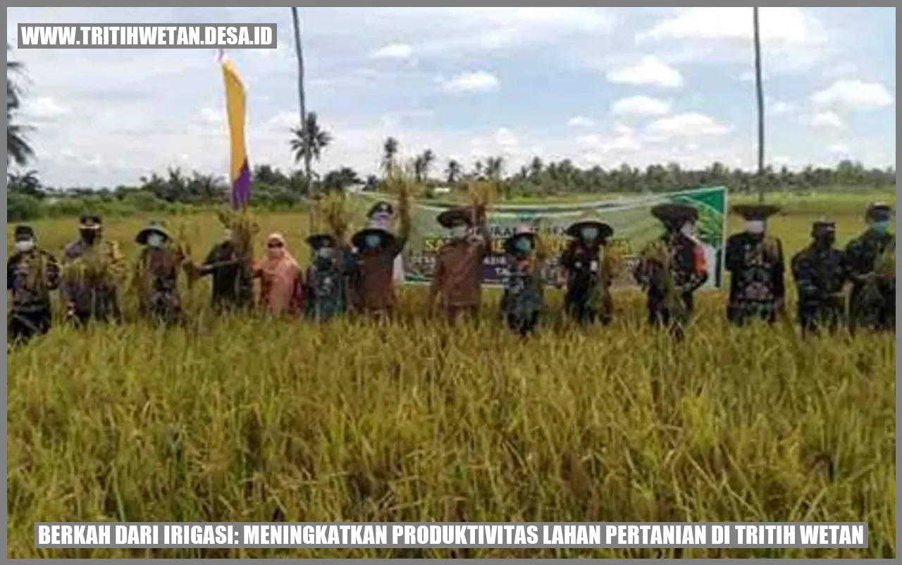 Berkah dari Irigasi: Meningkatkan Produktivitas Lahan Pertanian di Tritih Wetan