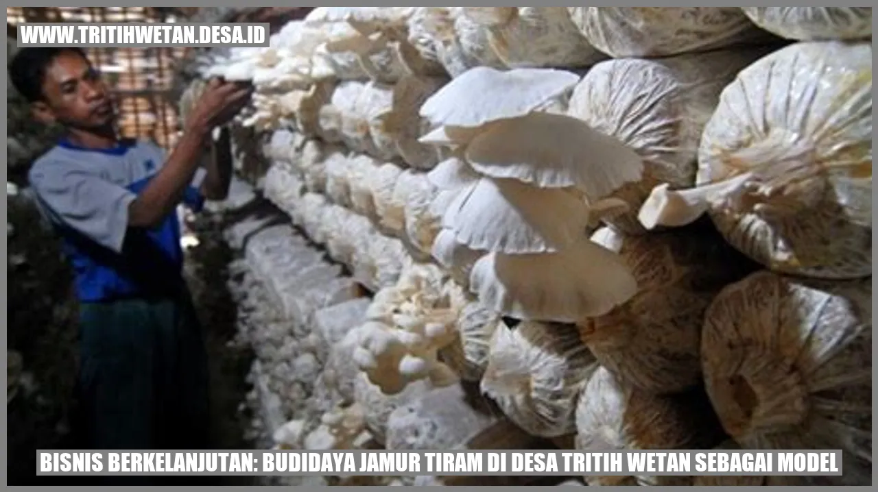 Gambar Budidaya Jamur Tiram di Desa Tritih Wetan