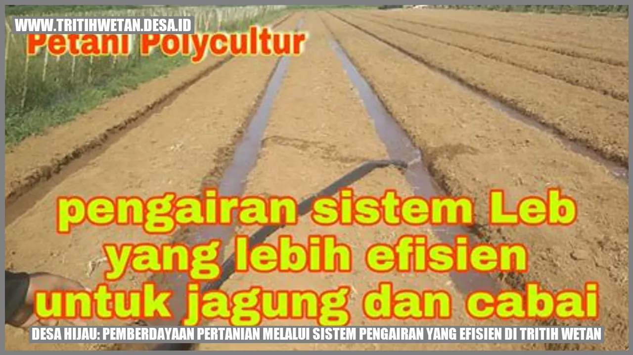 Desa Hijau: Pemberdayaan Pertanian Melalui Sistem Pengairan yang Efisien di Tritih Wetan