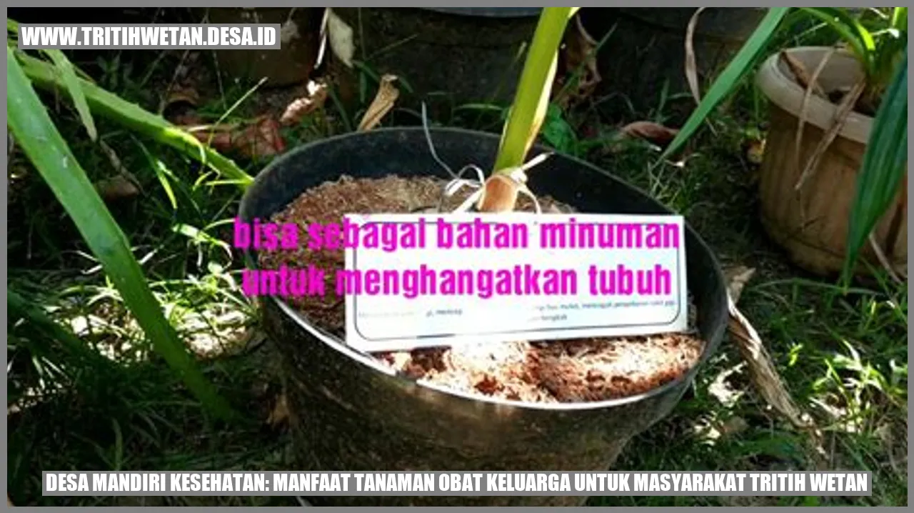 Desa Mandiri Kesehatan