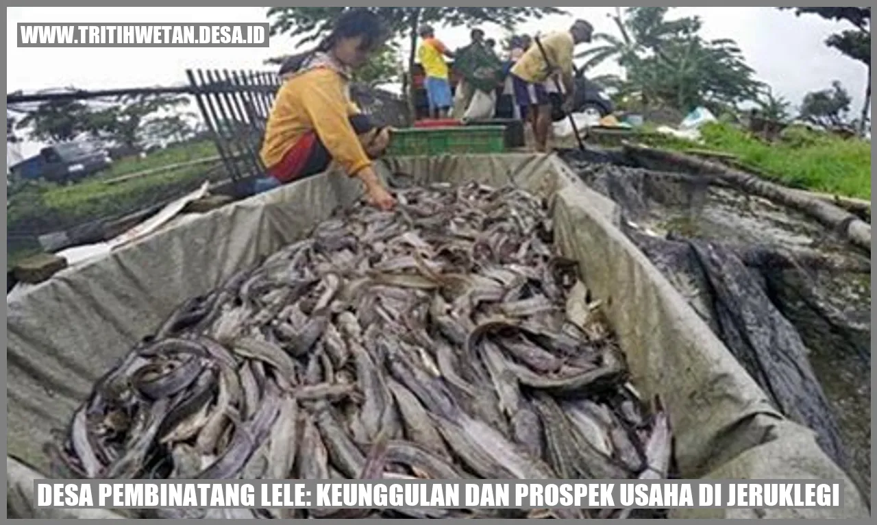 Desa Pembinatang Lele: Keunggulan dan Prospek Usaha di Jeruklegi