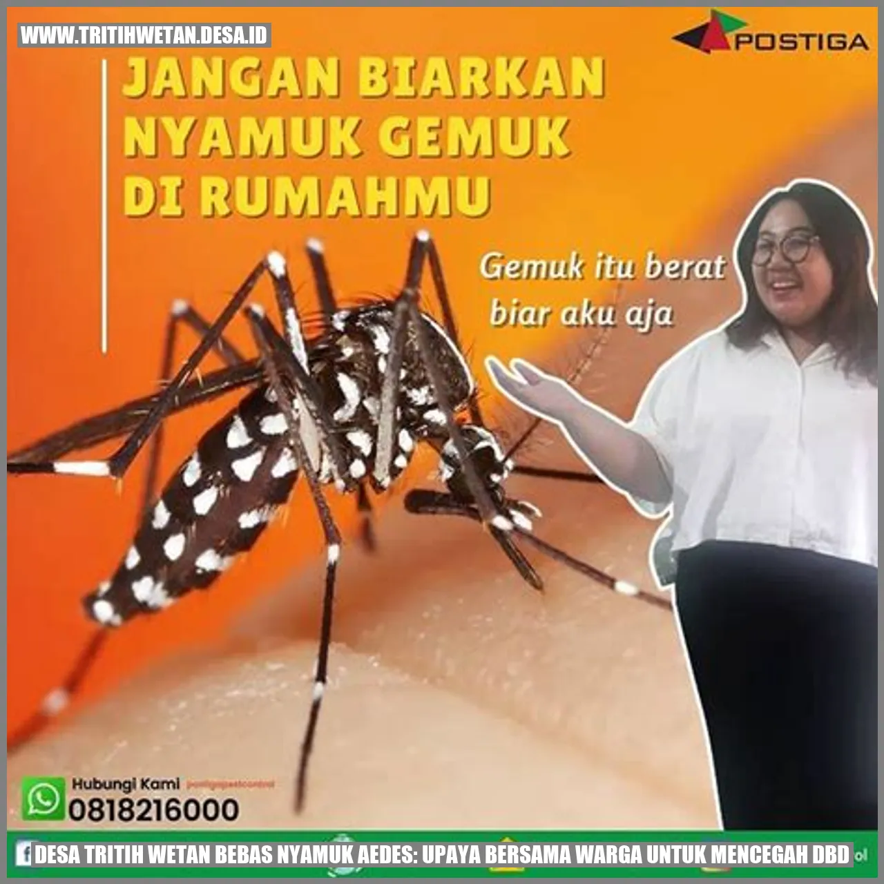 Desa Tritih Wetan Bebas Nyamuk Aedes: Upaya Bersama Warga untuk Mencegah DBD