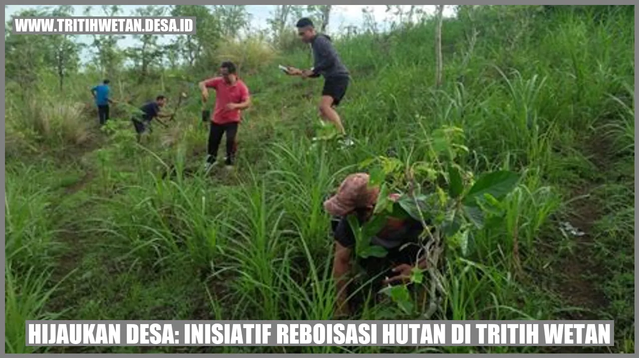 Reboisasi Hutan