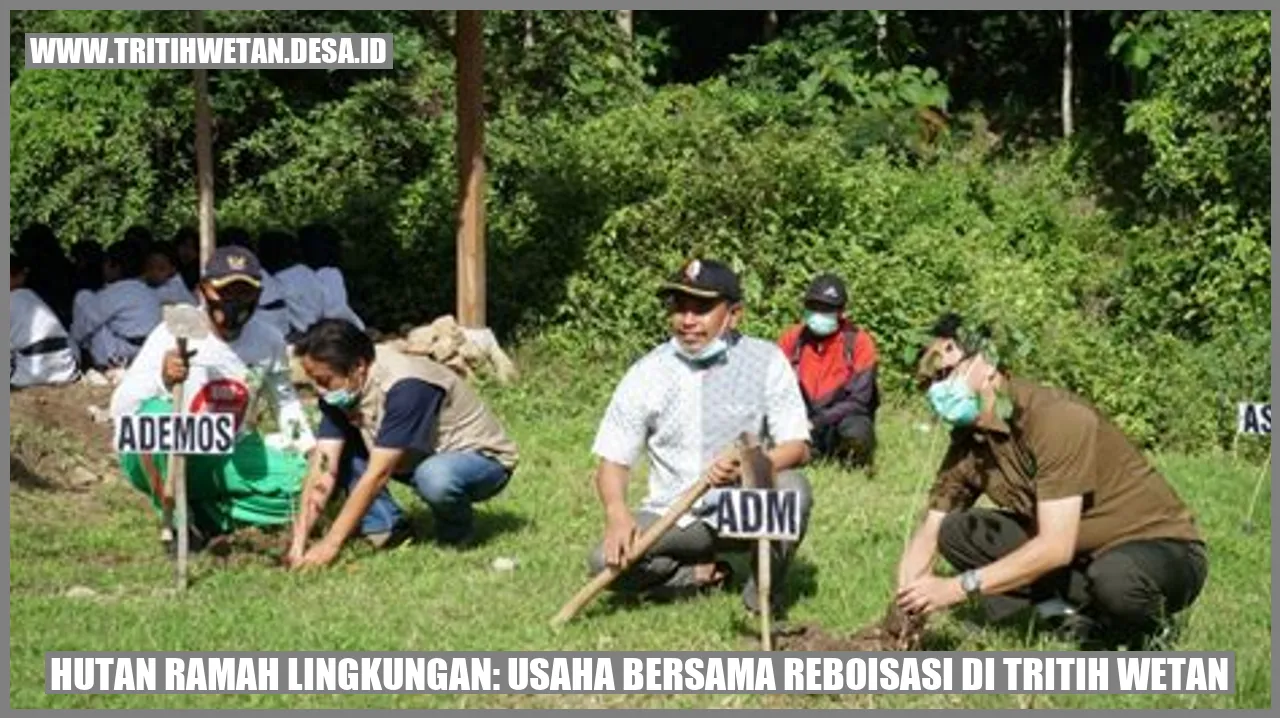 Hutan Ramah Lingkungan: Usaha Bersama Reboisasi di Tritih Wetan