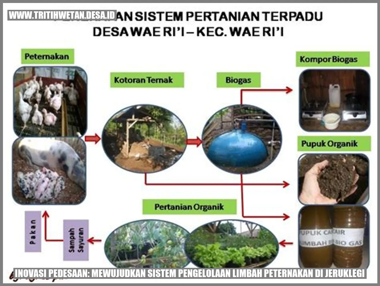 Inovasi Pedesaan: Mewujudkan Sistem Pengelolaan Limbah Peternakan di Jeruklegi