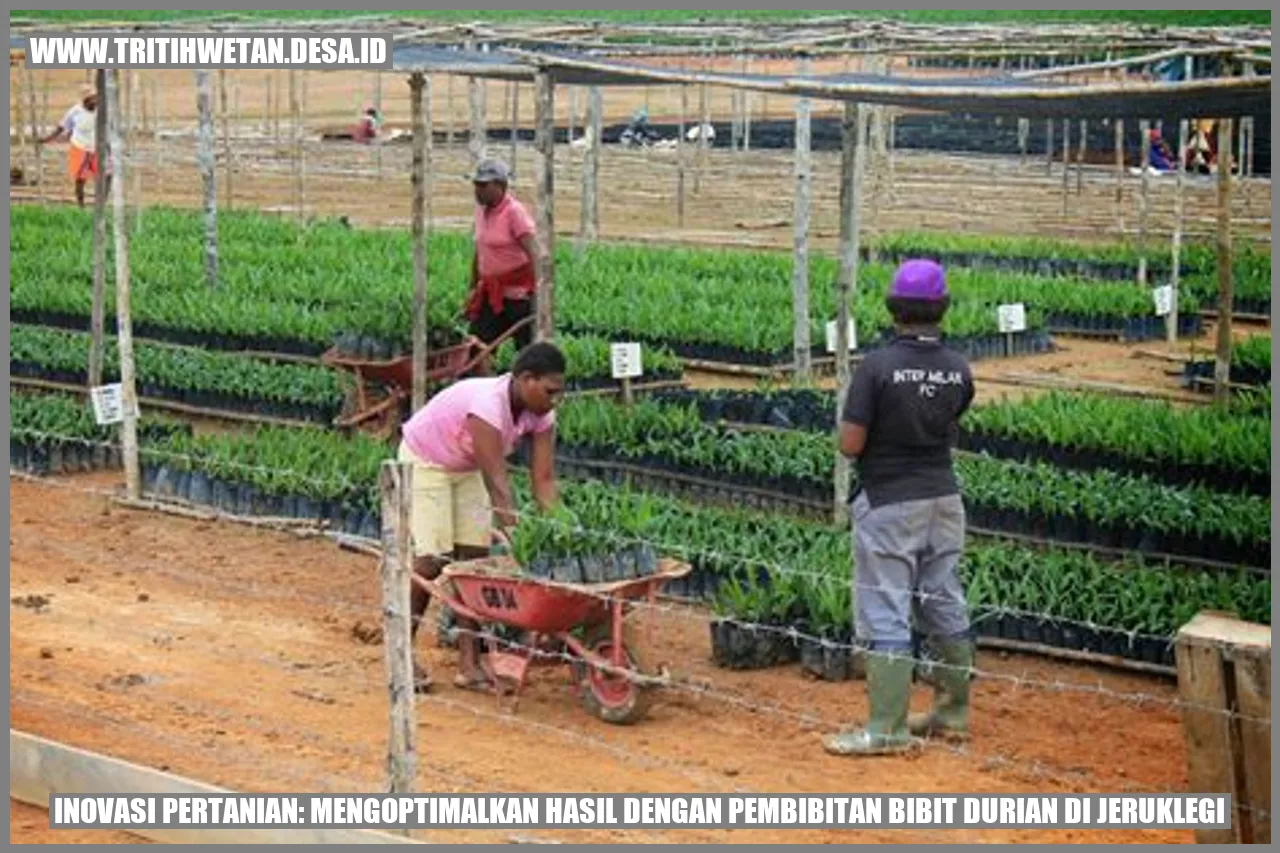 Inovasi Pertanian: Mengoptimalkan Hasil dengan Pembibitan Bibit Durian di Jeruklegi