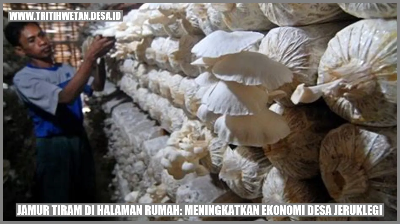 Jamur Tiram di Halaman Rumah: Meningkatkan Ekonomi Desa Jeruklegi
