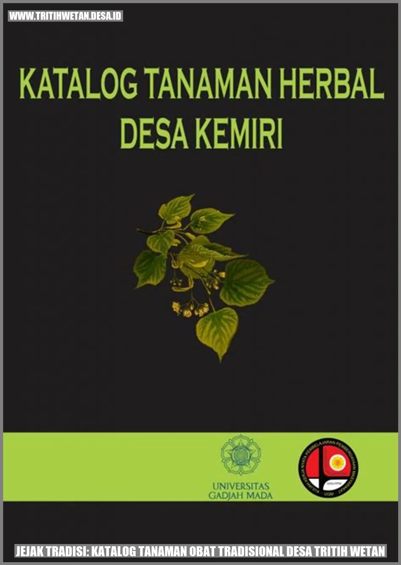 Jejak Tradisi: Katalog Tanaman Obat Tradisional Desa Tritih Wetan
