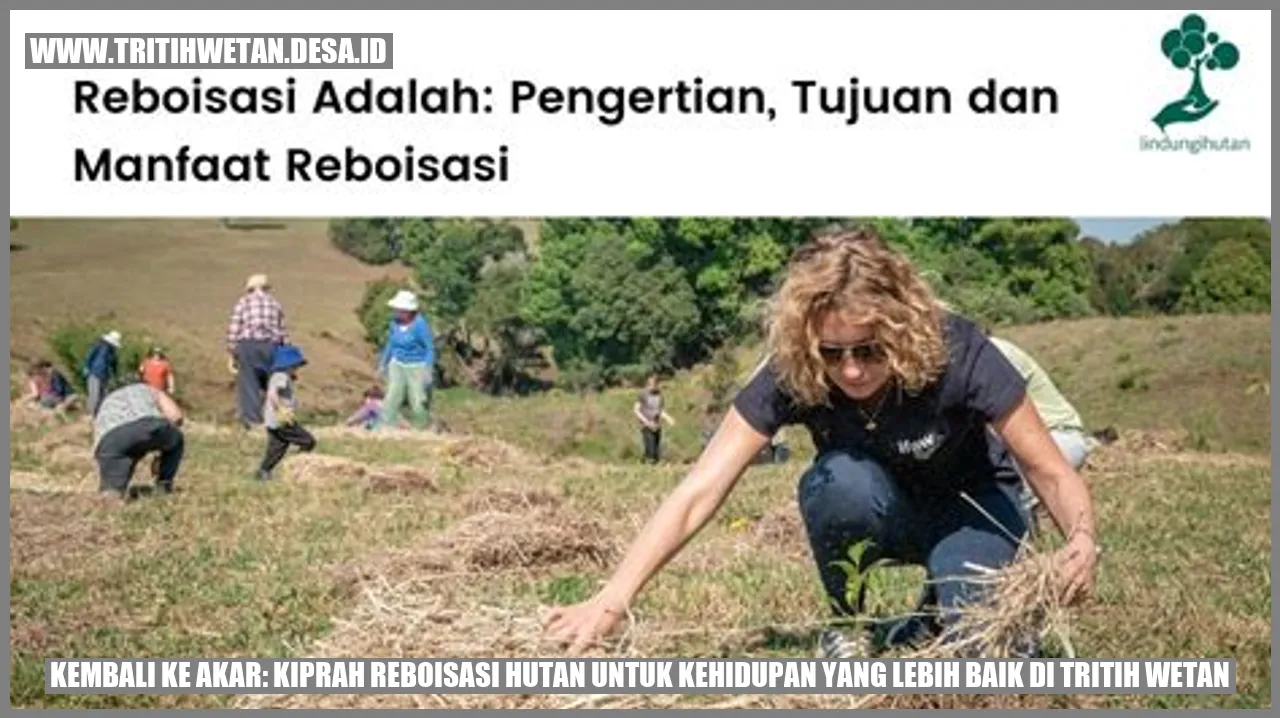 Reboisasi Hutan