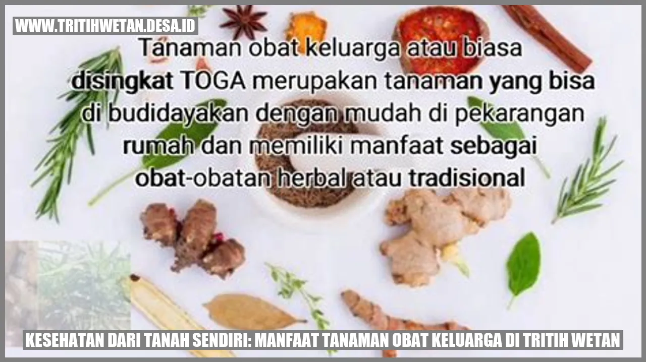 Tanaman Obat Keluarga