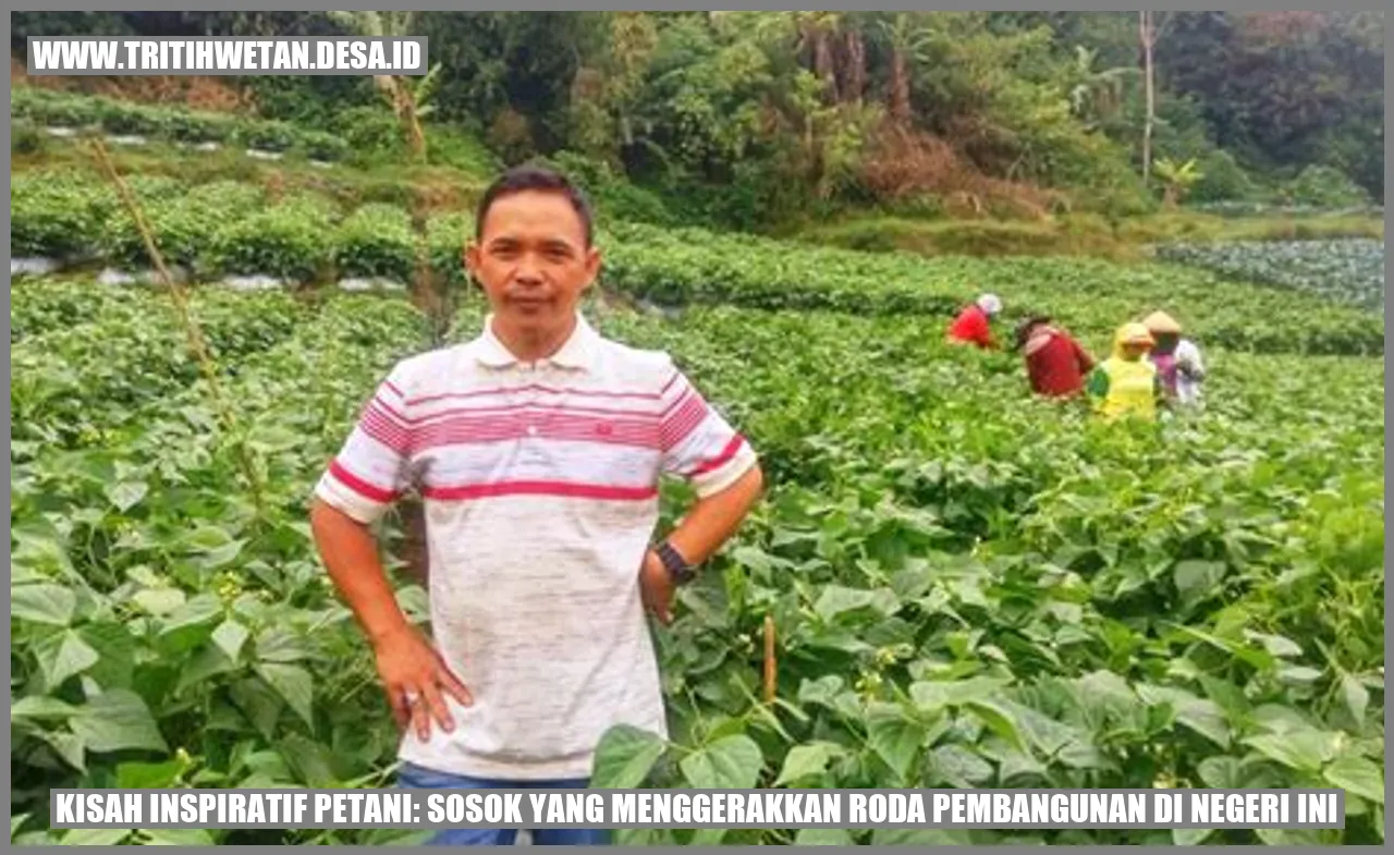 Petani