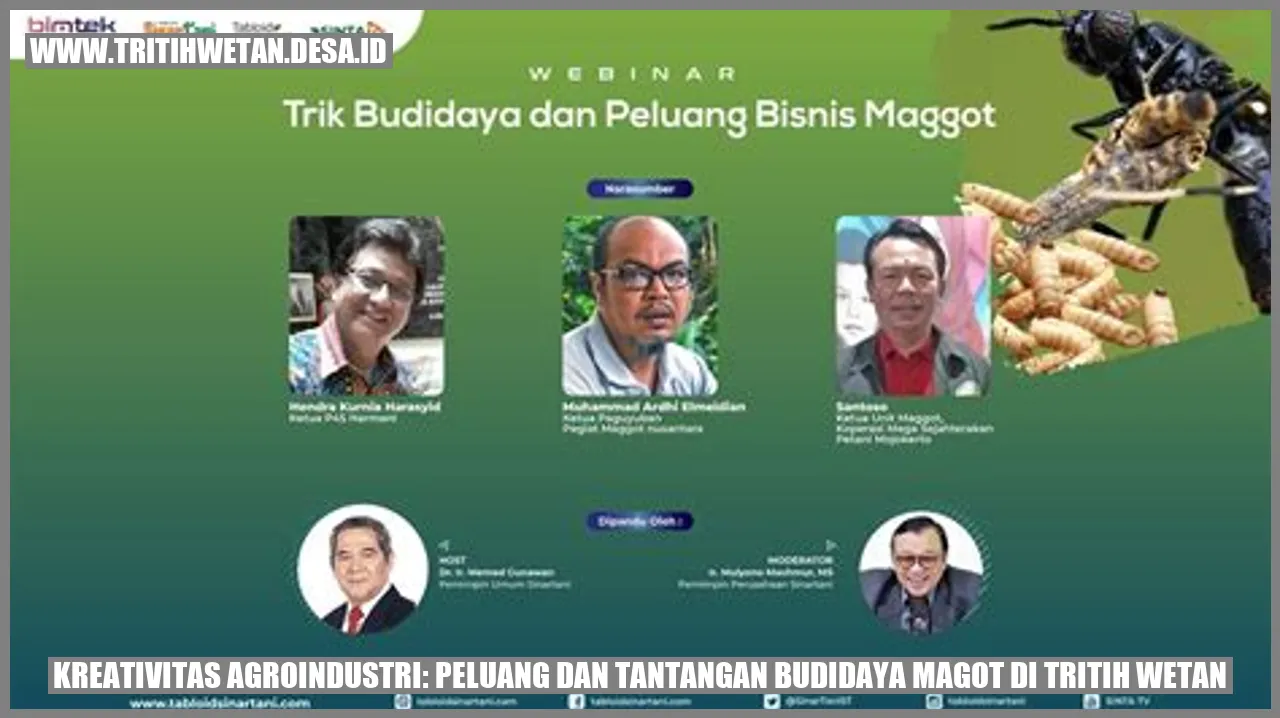 Kreativitas Agroindustri: Peluang dan Tantangan Budidaya Magot di Tritih Wetan