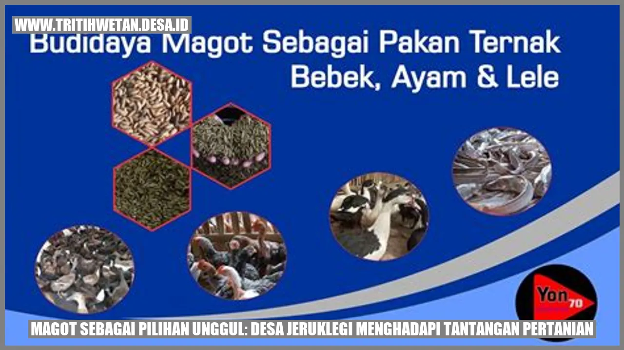Magot Sebagai Pilihan Unggul: Desa Jeruklegi Menghadapi Tantangan Pertanian