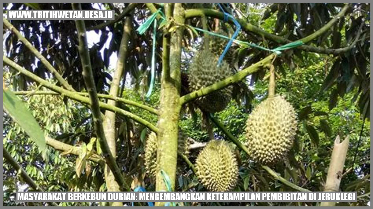 Masyarakat Berkebun Durian: Mengembangkan Keterampilan Pembibitan di Jeruklegi