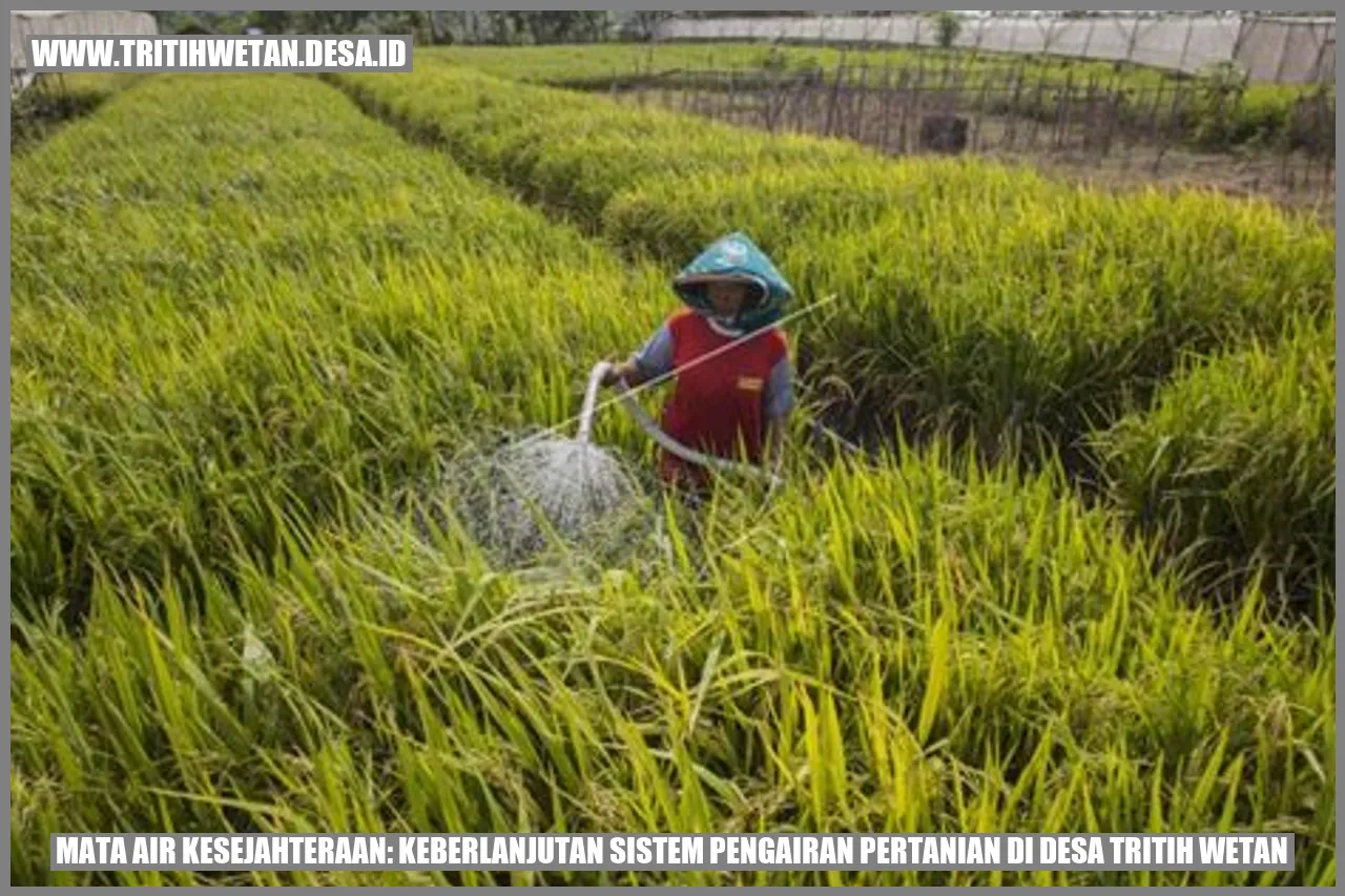 Mata Air Kesejahteraan: Keberlanjutan Sistem Pengairan Pertanian di Desa Tritih Wetan