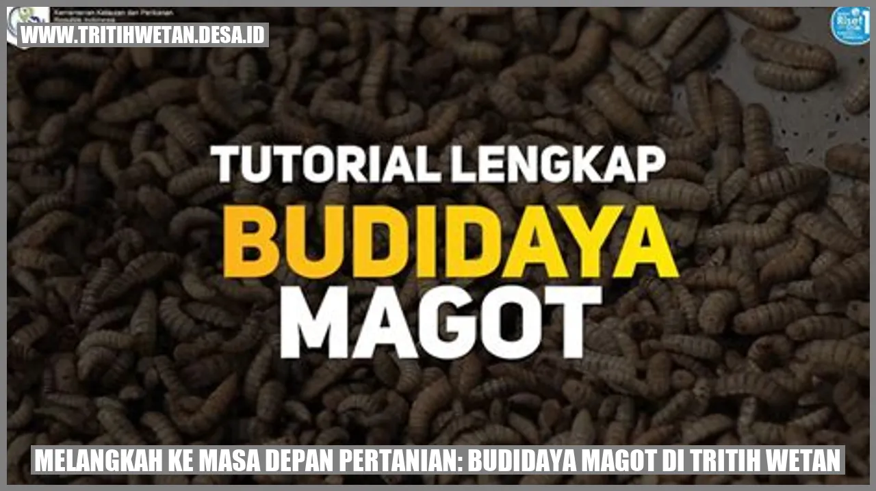 Gambar magot di lahan pertanian