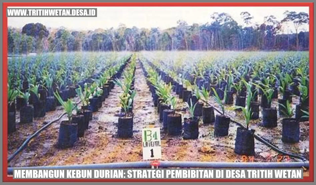 Kebun Durian