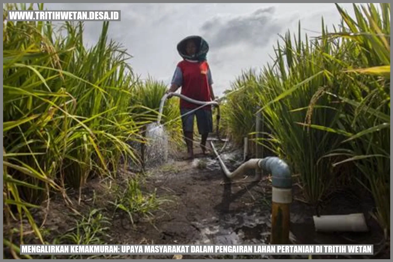 Pengairan Lahan Pertanian Tritih Wetan