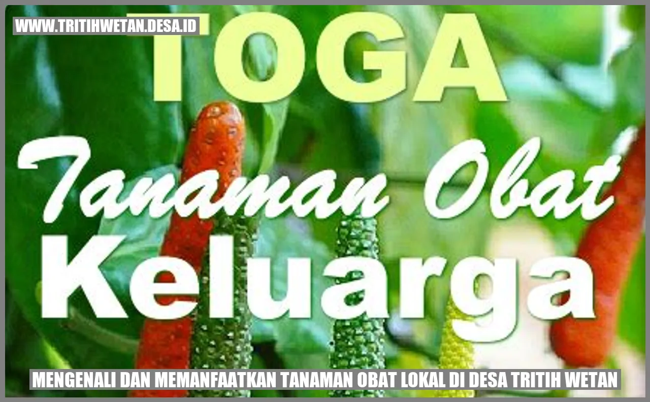 Tanaman Obat Lokal di Desa Tritih Wetan
