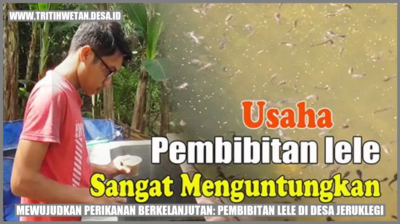 Mewujudkan Perikanan Berkelanjutan: Pembibitan Lele di Desa Jeruklegi