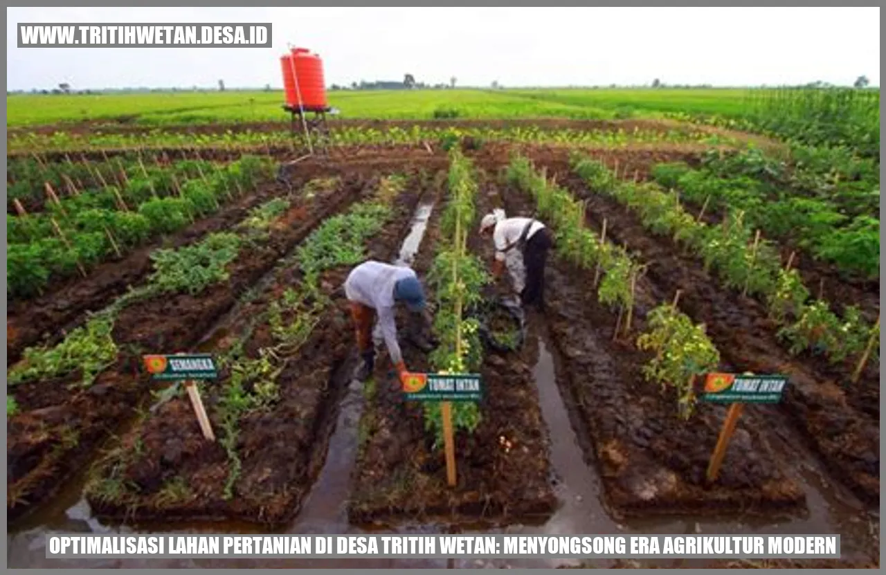 Optimalisasi Lahan Pertanian di Desa Tritih Wetan: Menyongsong Era Agrikultur Modern