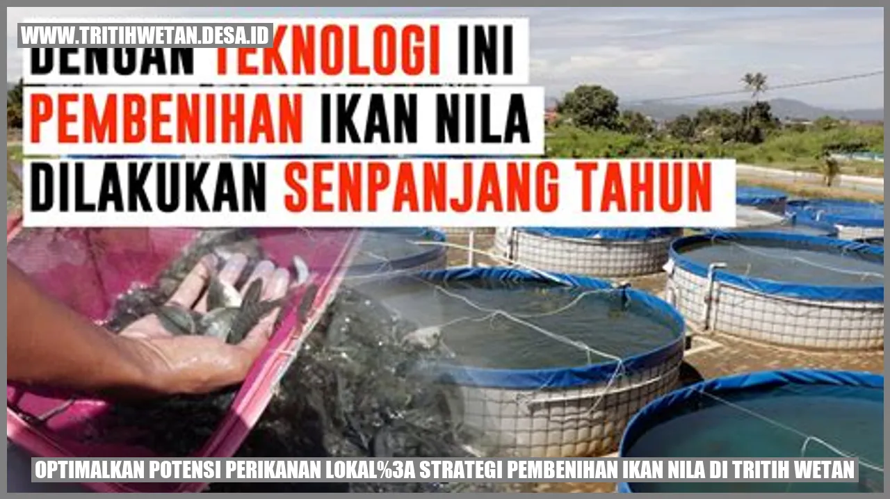 Gambar: Optimalkan Potensi Perikanan Lokal: Strategi Pembenihan Ikan Nila di Tritih Wetan