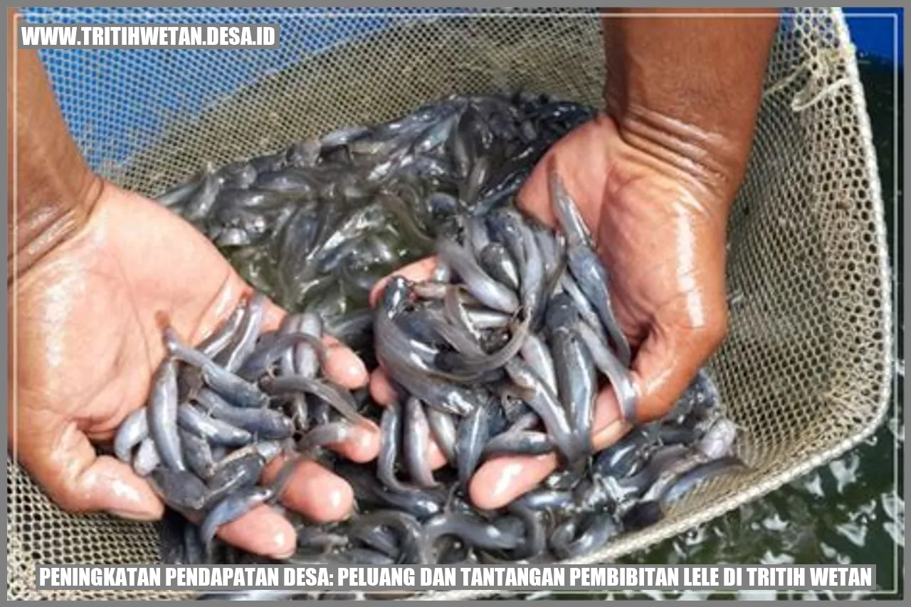 Peningkatan Pendapatan Desa: Peluang dan Tantangan Pembibitan Lele di Tritih Wetan