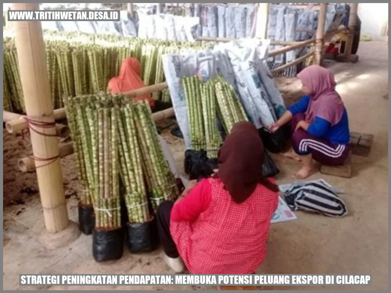 Gambar Potensi Ekspor Cilacap