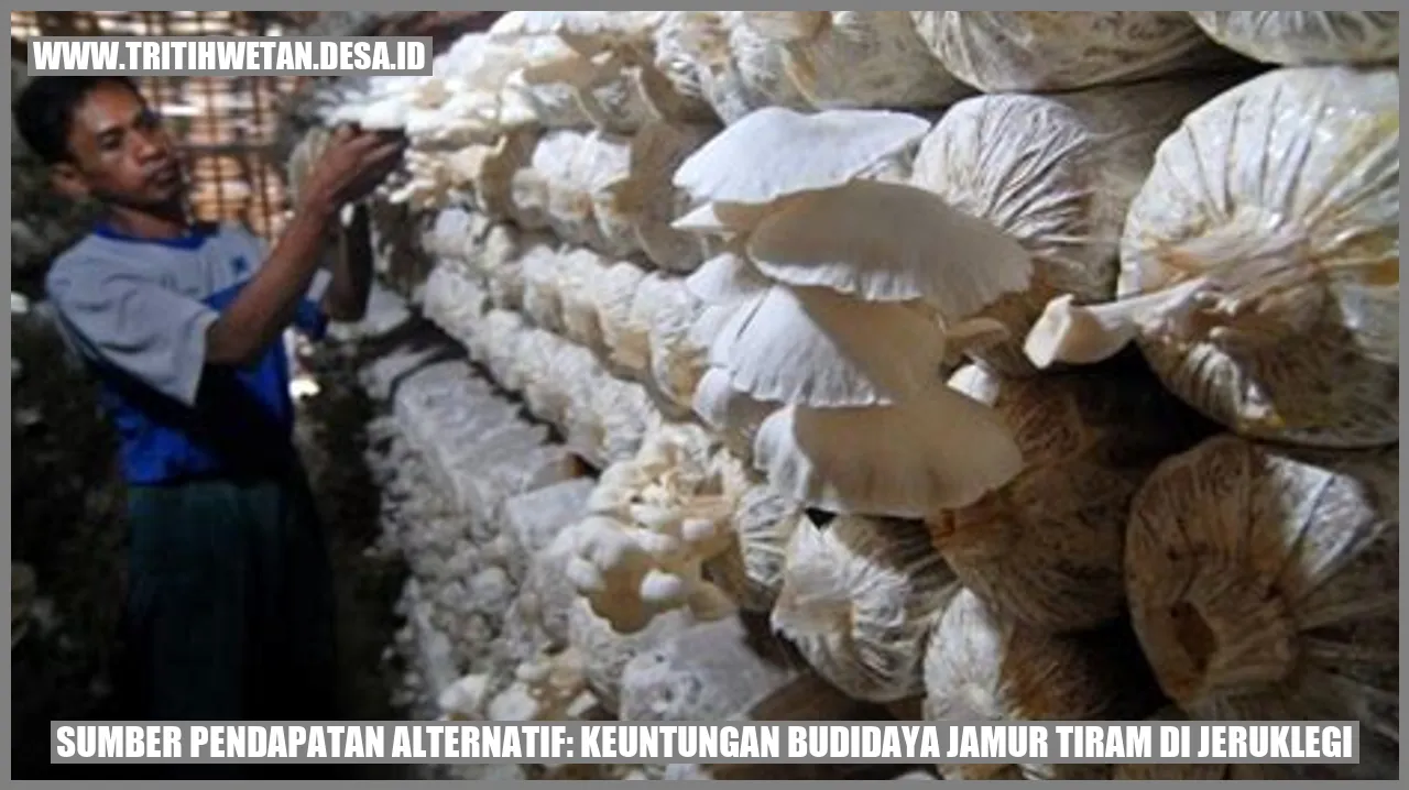 Gambar Jamur Tiram di Jeruklegi